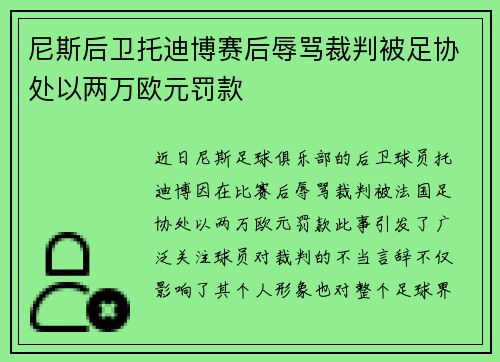 尼斯后卫托迪博赛后辱骂裁判被足协处以两万欧元罚款 尼斯后卫托迪博赛后辱骂裁判被足协处以两万欧元罚款